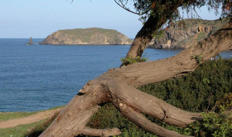 Appartamento In Casa Con Cortili Ad Arbus - Sardegna Eksteriør bilde